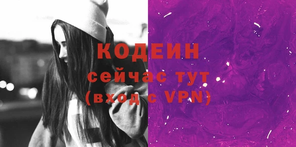 ГАЛЛЮЦИНОГЕННЫЕ ГРИБЫ Новозыбков