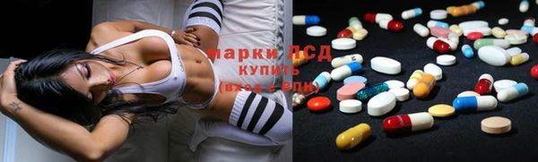 ГАЛЛЮЦИНОГЕННЫЕ ГРИБЫ Новозыбков