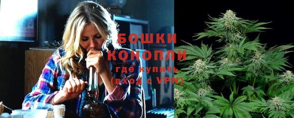 метадон Новодвинск