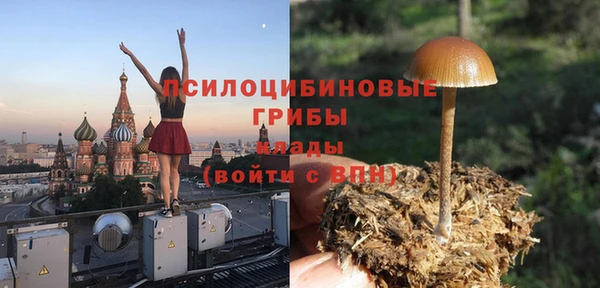 ГАЛЛЮЦИНОГЕННЫЕ ГРИБЫ Новозыбков