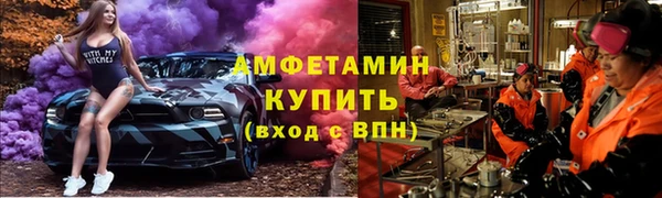 ГАЛЛЮЦИНОГЕННЫЕ ГРИБЫ Новозыбков