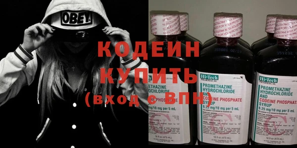 ГАЛЛЮЦИНОГЕННЫЕ ГРИБЫ Новозыбков
