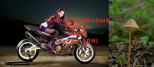 метадон Новодвинск