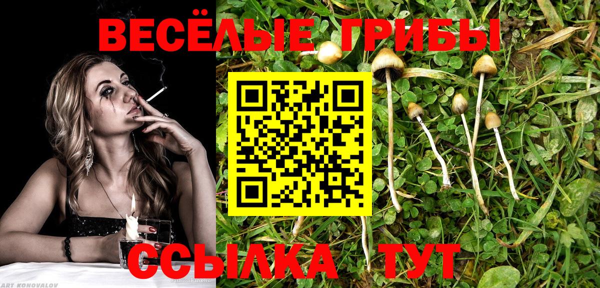 Псилоцибиновые грибы Magic Shrooms  Вход с VPN  Ханты-Мансийск 